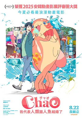 小猫搞笑视频
